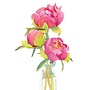 Peony Trio Birthday Card