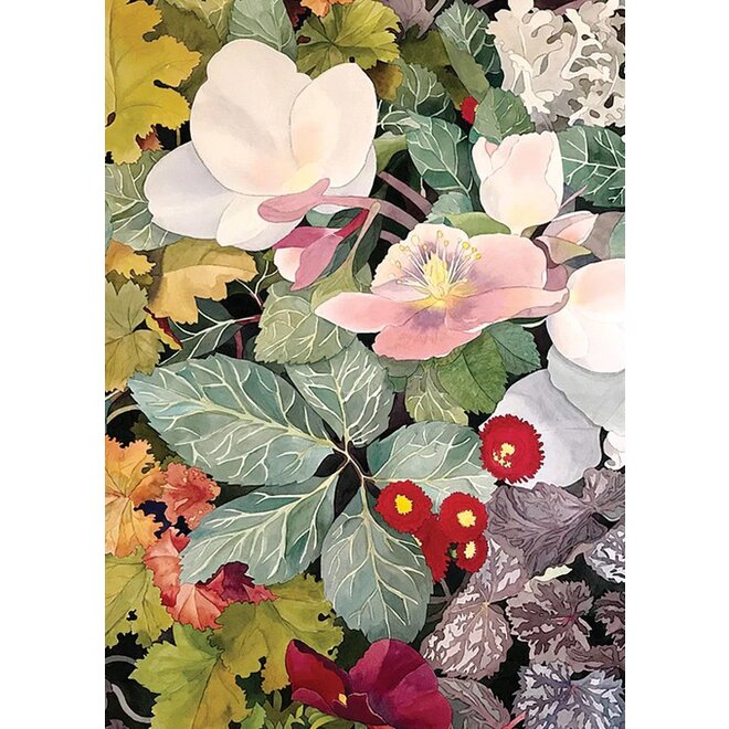 Red English Daisy Sympathy Card