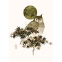Owl and Golden Moon Birthday Card