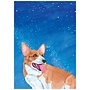 Corgi Sky Birthday Card