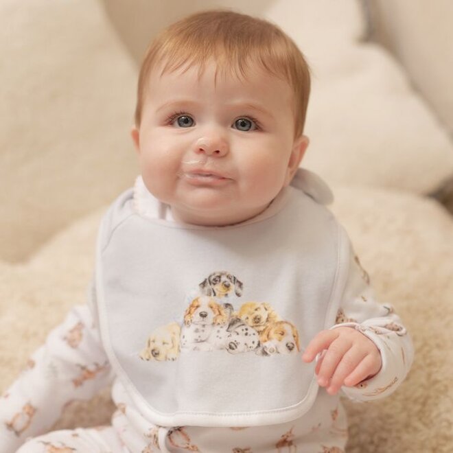 'Little Paws' Dog Little Wren Bib Gift Set