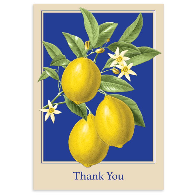 Lemons Boxed Thank You Cards