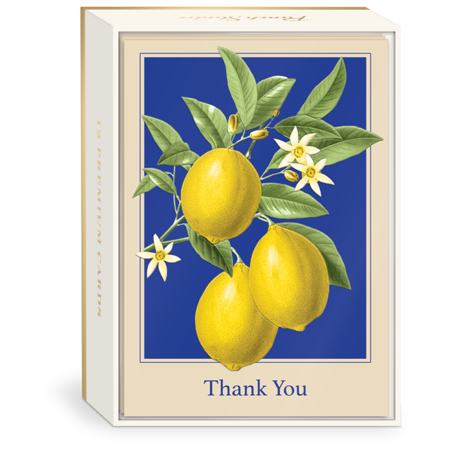 Lemons Boxed Thank You Cards
