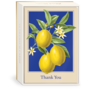 Lemons Boxed Thank You Cards