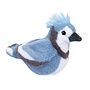 Denim Blue Jay