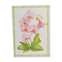 Orchid Conservatory Thank You Boxed Cards