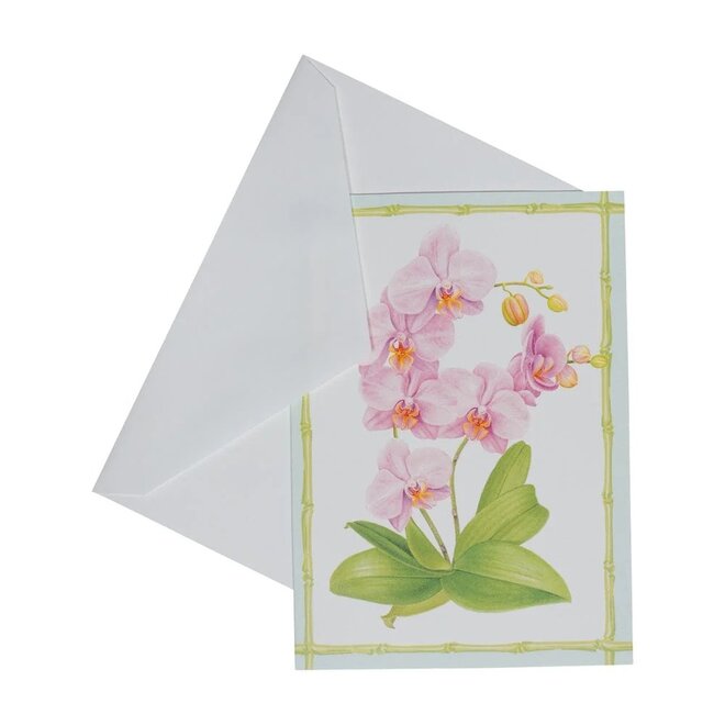 Orchid Conservatory Thank You Boxed Cards