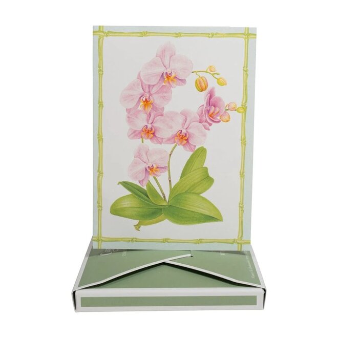 Orchid Conservatory Thank You Boxed Cards