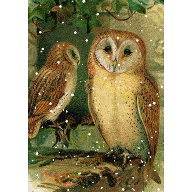 Madam Treacle Winter Owl Greeting Card