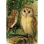 Madam Treacle Winter Owl Greeting Card