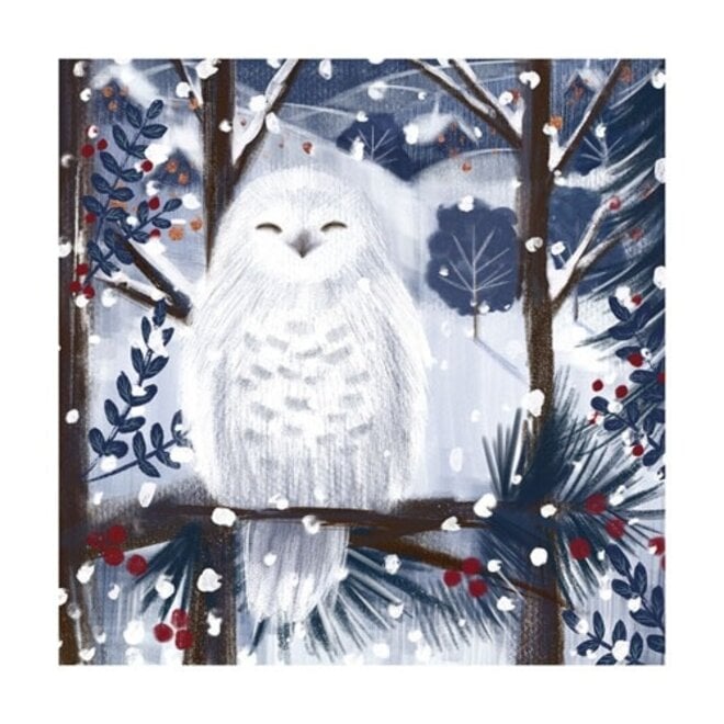 Snowy Owl Boxed Christmas Cards