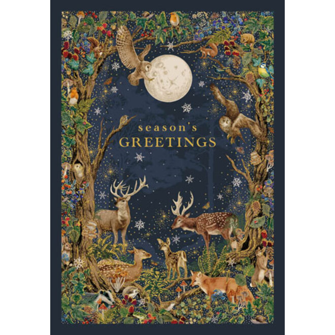 Into the Forest Boxed Christmas Cards