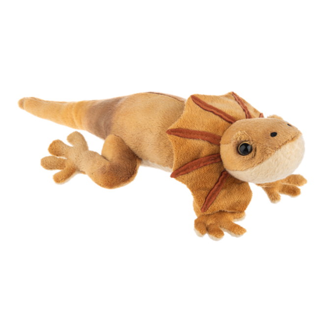 Frill Neck Lizard