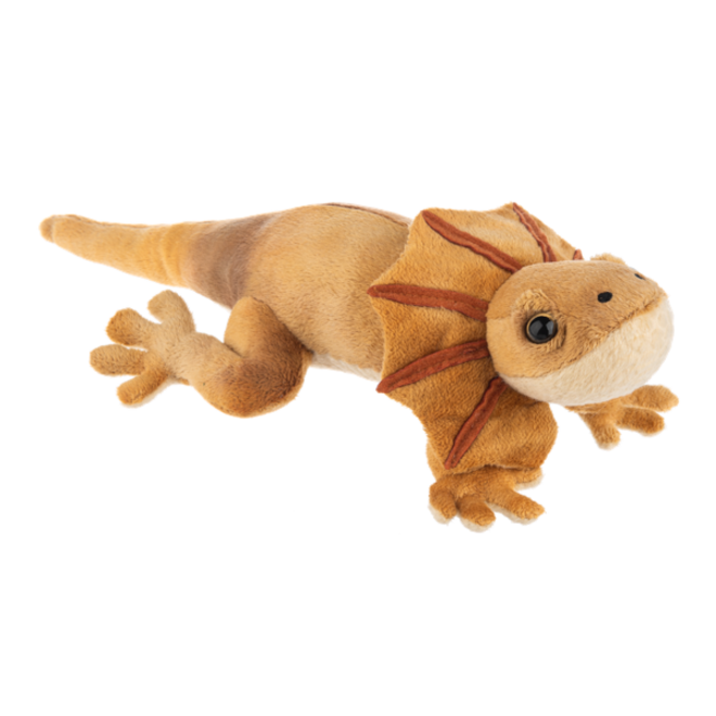Frill Neck Lizard