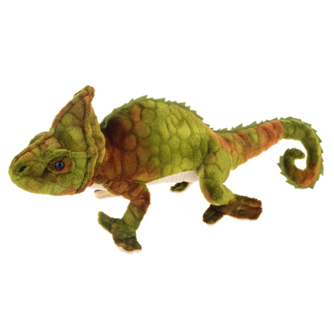 Veiled Chameleon