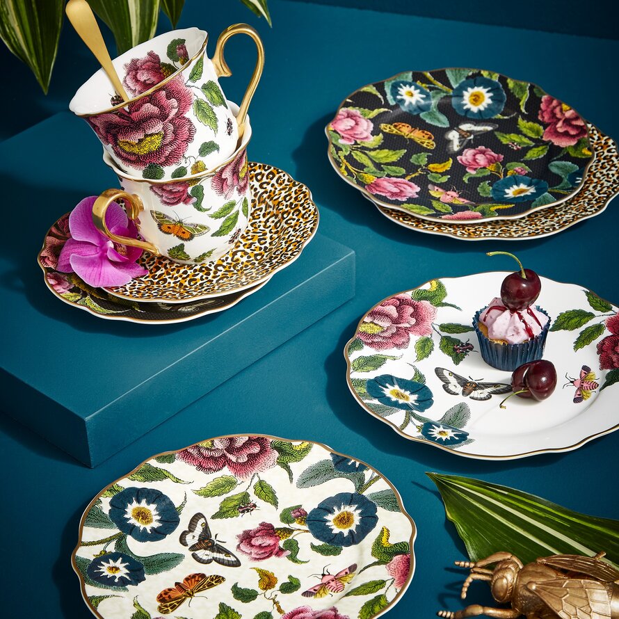 Creatures of Curiosity Collection