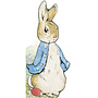 All about Peter Board Book by Beatrix Potter