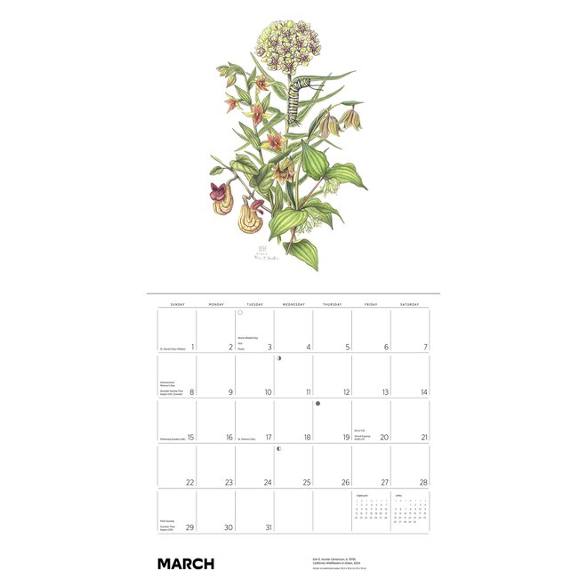 Pollinators 2026 Wall Calendar