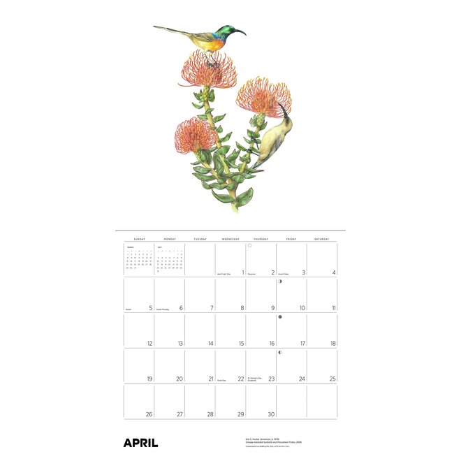 Pollinators 2026 Wall Calendar