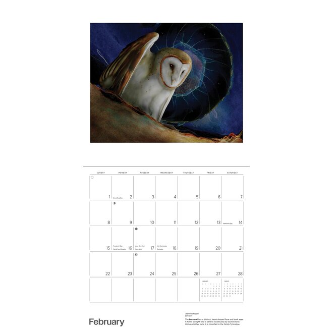 Owls: Jeannine Chappell 2026 Wall Calendar