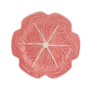 Pink Cabbage Dinner Plate