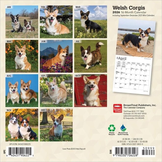 Welsh Corgis 2026 Mini Wall Calendar