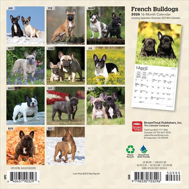 French Bulldogs 2026 Mini Wall Calendar