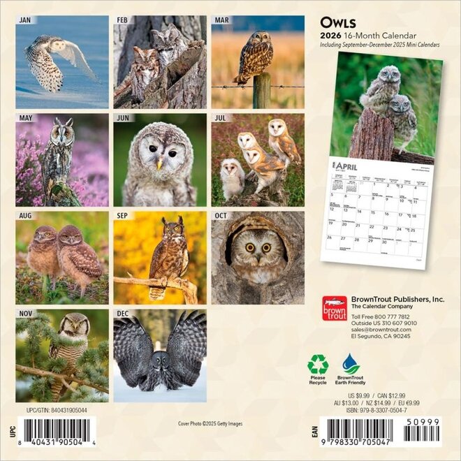 Owls 2026 Mini Wall Calendar