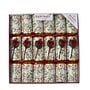 Winter Berry Christmas Crackers (Box of 6)