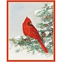 Cardinal & Evergreen Boxed Christmas Cards