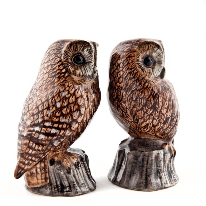 Tawny Owl Salt & Pepper