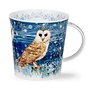 Cairngorm Full Moon Barn Owl Mug