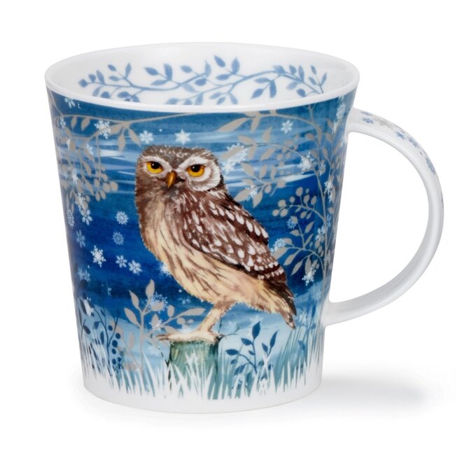 Cairngorm Full Moon Little Owl Mug