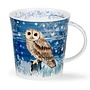 Cairngorm Full Moon Tawny Owl Mug