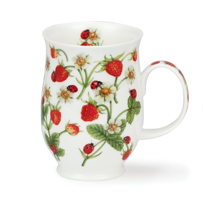 Suffolk Dovedale Strawberry Ladybug Mug