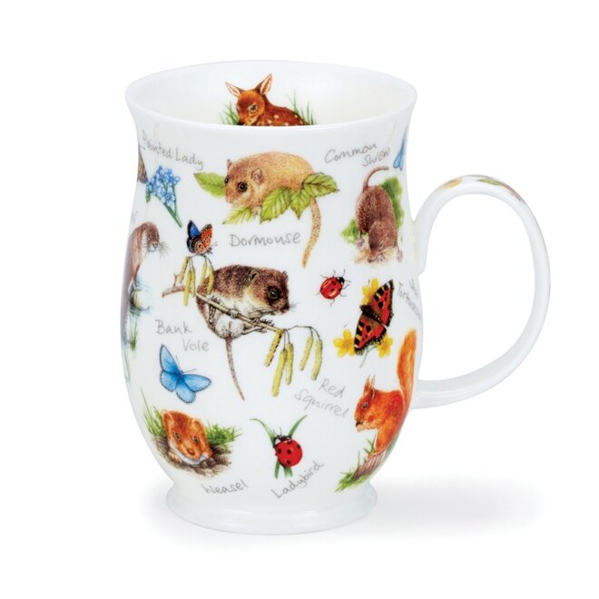 Suffolk Animal Life Shrew (Red Squirrel) Mug