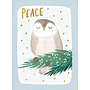 Peace Owl Boxed Christmas Cards