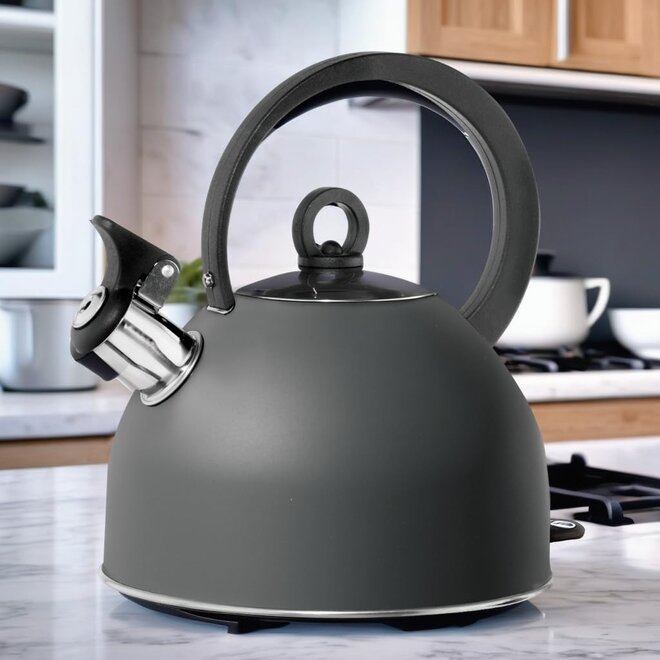 Oggi Stovetop 1.7L Whistling Tea Kettle (Black)