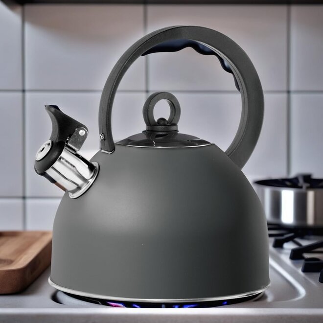 Oggi Stovetop 1.7L Whistling Tea Kettle (Black)