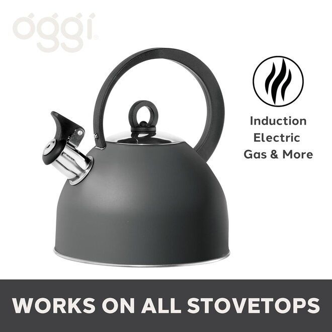 Oggi Stovetop 1.7L Whistling Tea Kettle (Black)
