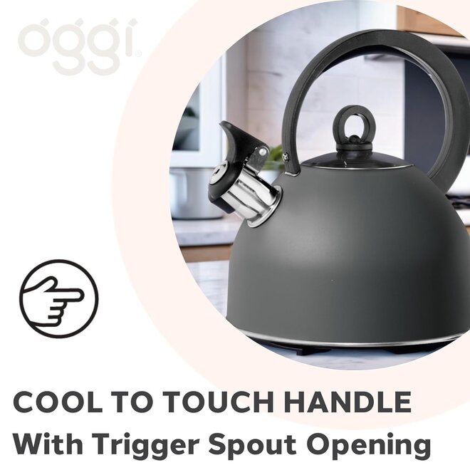Oggi Stovetop 1.7L Whistling Tea Kettle (Black)