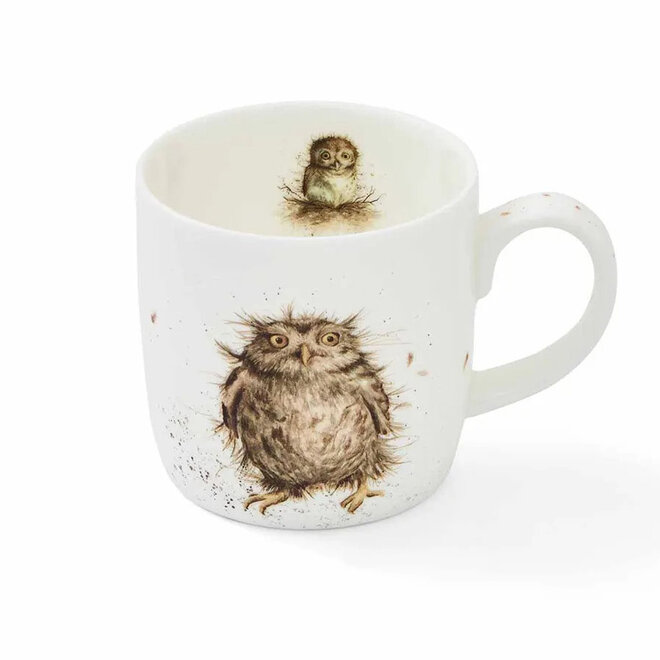 'What A Hoot' Owl Small Mug