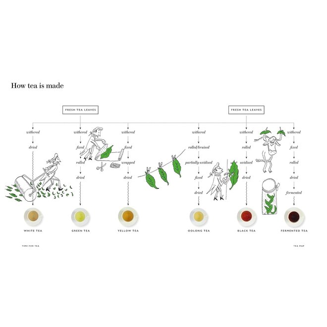 Fortnum & Mason: Time for Tea