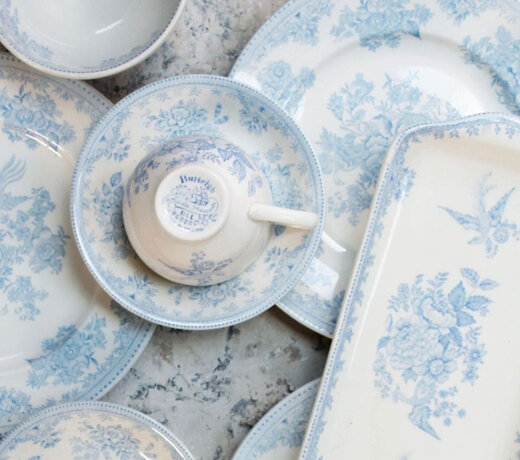 Blue Asiatic Pheasants