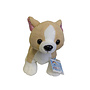 Webkinz Chihuahua