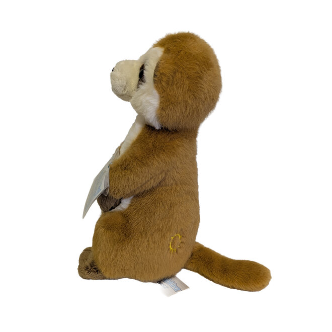 Webkinz Meerkat