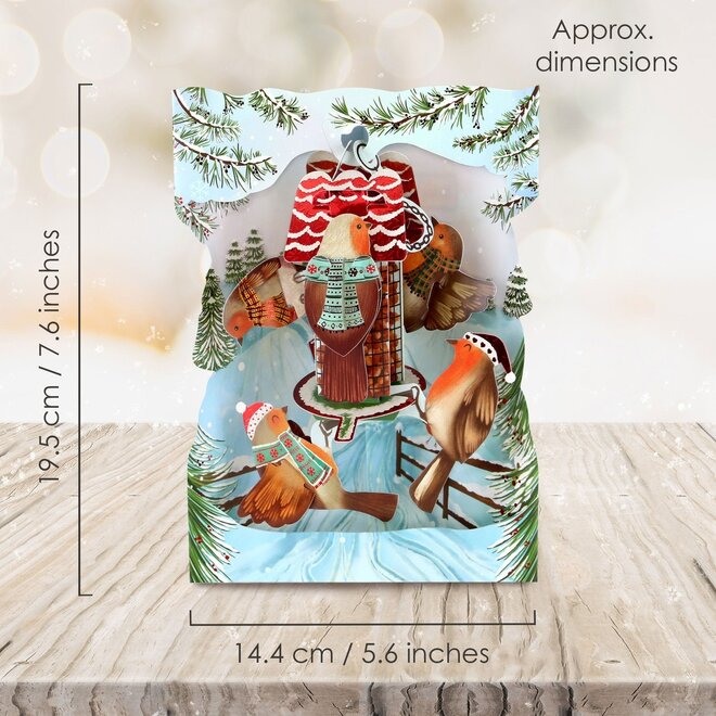 Robins Christmas Swing Card