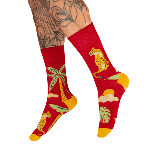 Chilled Cheetah in Raspberry Red Socks