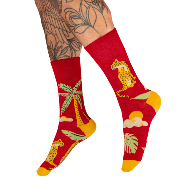 Chilled Cheetah in Raspberry Red Socks