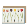 Tulip Parade Greeting Card